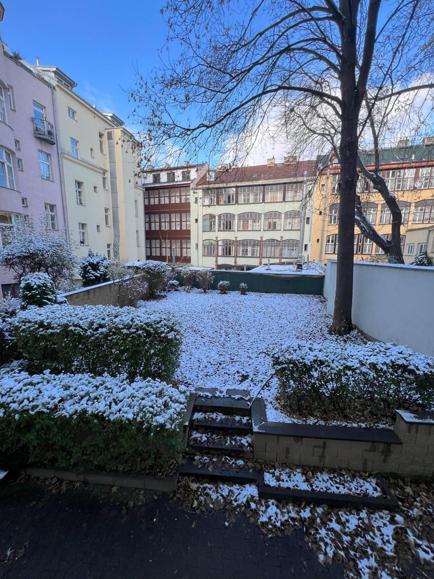 Cozy Garden Apartment In The Heart Of Praha Exteriér fotografie